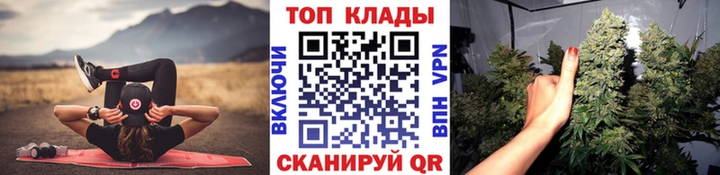 Купить наркотики Камышлов Марихуана  Кокаин  Alpha-PVP  Меф мяу мяу  Гашиш 