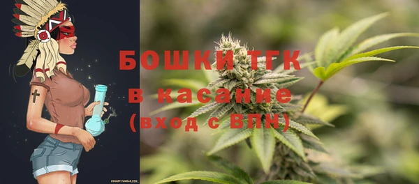 прущие грибы Абинск