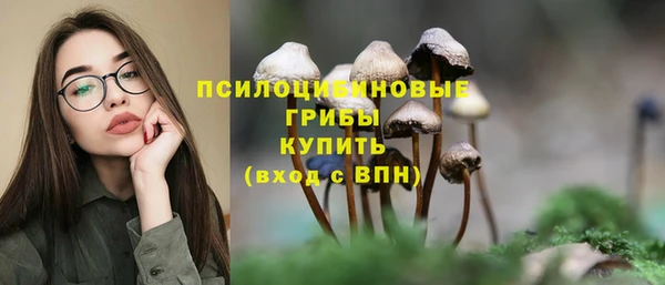 бошки Абдулино