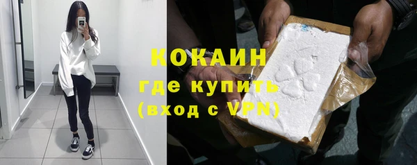 прущие грибы Абинск
