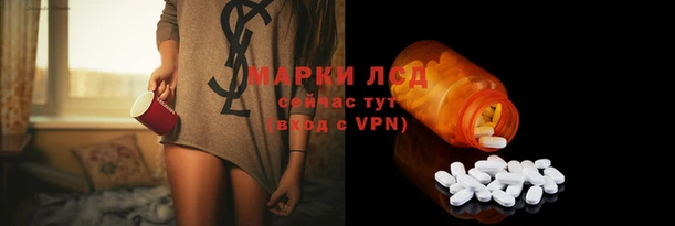 прущие грибы Абинск