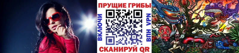 Галлюциногенные грибы GOLDEN TEACHER Камышлов