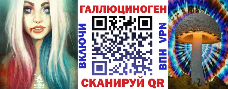 продажа наркотиков  Камышлов  МЕГА вход  Псилоцибиновые грибы Cubensis 